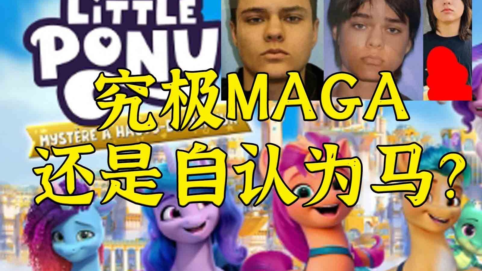 波士顿圆脸