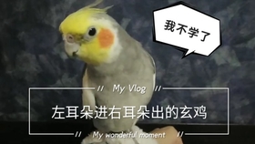 8ef1dbe883e1da8275500ffe061f3fc632c18a0c.jpg@280w_158h_1c_100q.jpg