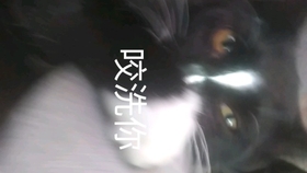 8f0415627ca473ce71738f2ffef3f5d3f0f7184a.jpg@280w_158h_1c_100q.jpg
