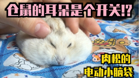 8f230f30b21b9dcd9e825cca7523b4fe500cb455.jpg@280w_158h_1c_100q.jpg