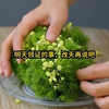 爱意修正