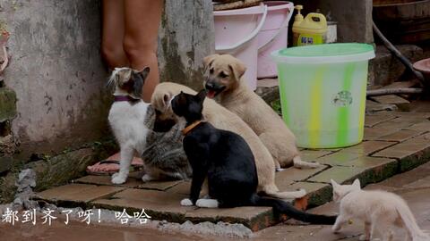 8f41bad915e6b70b82c5edf254fe84da82642aa6.jpg@480w_270h_1c