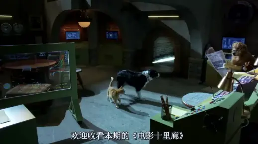 最新动物冒险电影《猫狗大战3》，猫狗部族联合对抗爬行类宠物