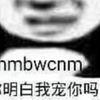 破解版の狂战士要慎重选择(不要问我为什么知道