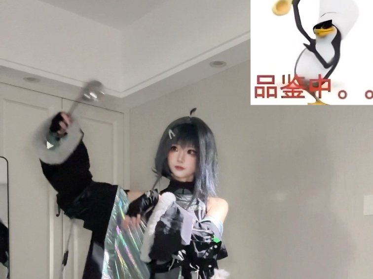 高雅渡鸦表演中