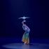 第六届“小兰花奖”全国小小舞蹈家独舞剧目《傣家的姑娘傣家的雨》