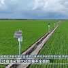 【奋进中国式现代化】中国农业现代化加快推进