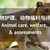动物护理、动物福利与评估