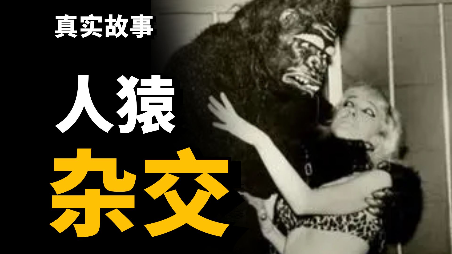 当年参与【人猿杂交实验】的5名女性，后来结局如何？