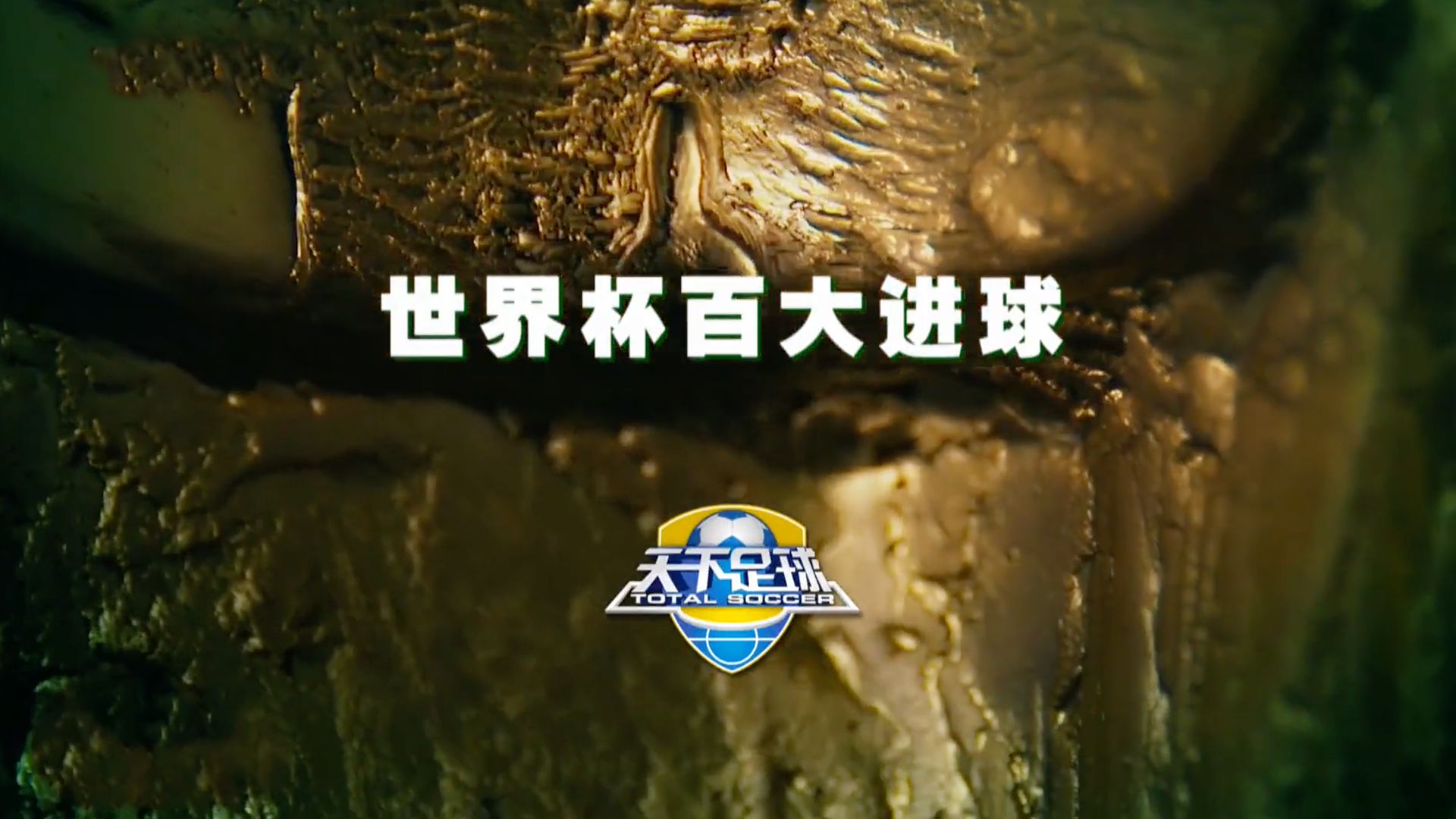 【天下足球】世界杯百大进球