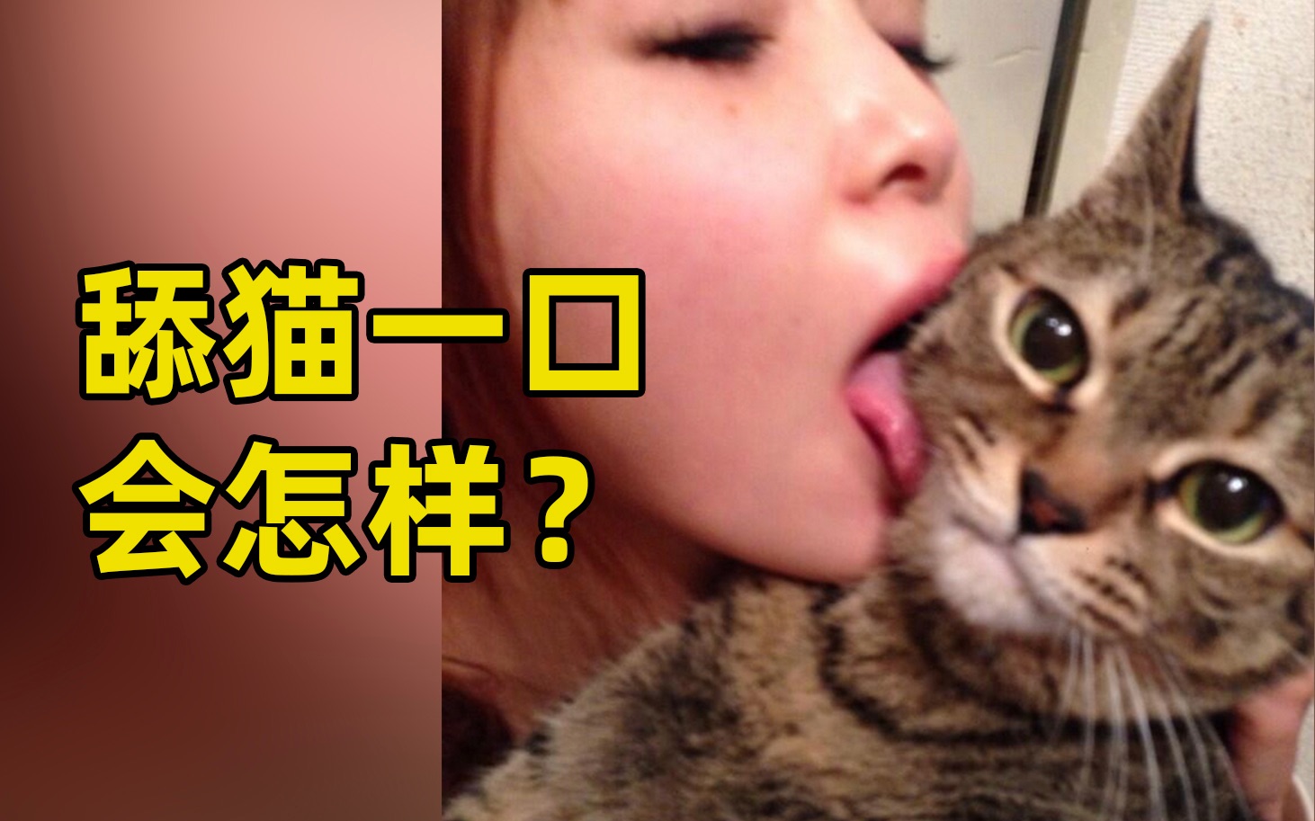 当猫舔你的时候，你突然舔它一口，它会有什么反应呢？