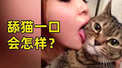 当猫舔你的时候,你突然舔它一口,它会有什么反应呢?
