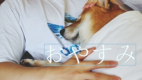 小猫老是爬床怎么办 9051005a069542bf7019a843abc58b35f4c1fe96.jpg@280w_158h_1c_100q.jpg