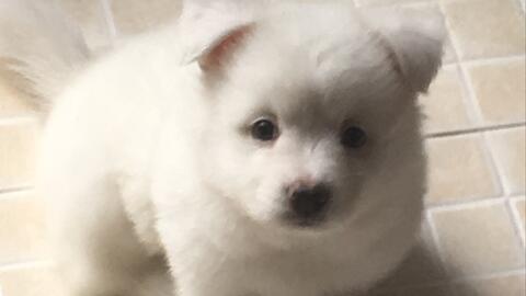 906164654727b6aae74b983d57774a5fa18859fe.jpg@480w_270h_1c