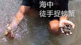 怎么抓螃蟹不伤鱼 9061e48dc0defc5ef4eba48a3b7a9757c37eab10.jpg@280w_158h_1c_100q.jpg