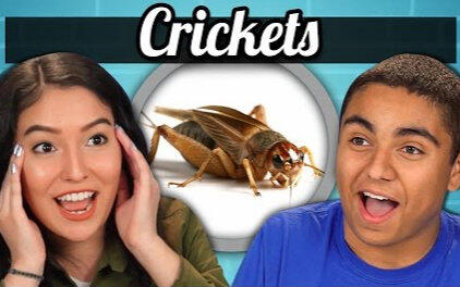 油兔视频大全 906d2fbd75ef71a9add0a21ab7c8e0b7956110cd.jpg@480w_270h_1c