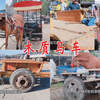 马车来赶集很多人围观，这手工打造的车，每次看都是满满的回忆