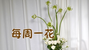9081f8a987e73dcd489241ebaa13855d26613d7b.jpg@310w_174h_1c_100q.jpg