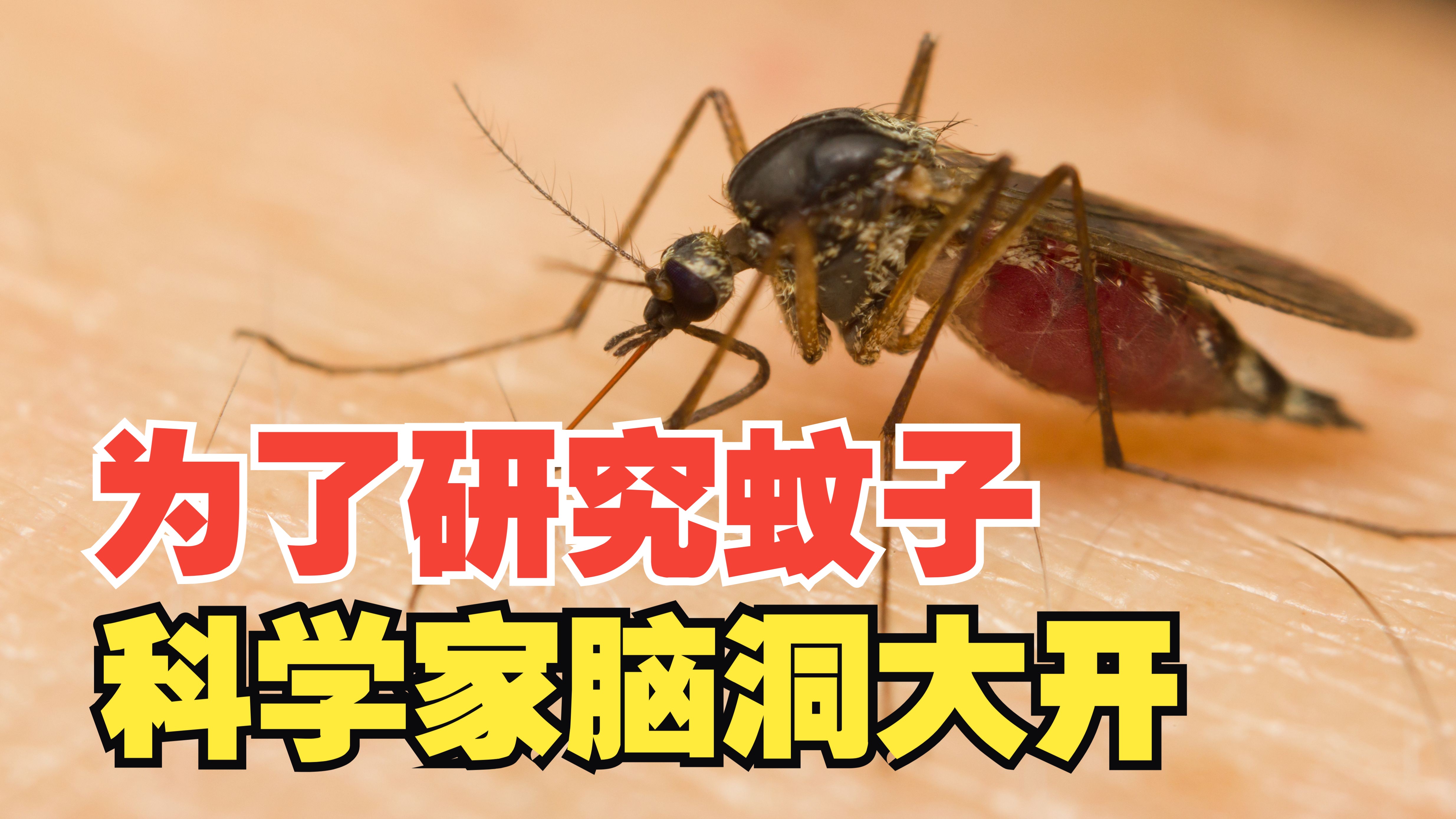 字幕下载