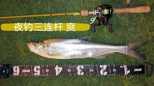 90930a1d9d971a6af01aa5cfb84e4cfe2f113e67.jpg@310w_174h_1c_100q.jpg