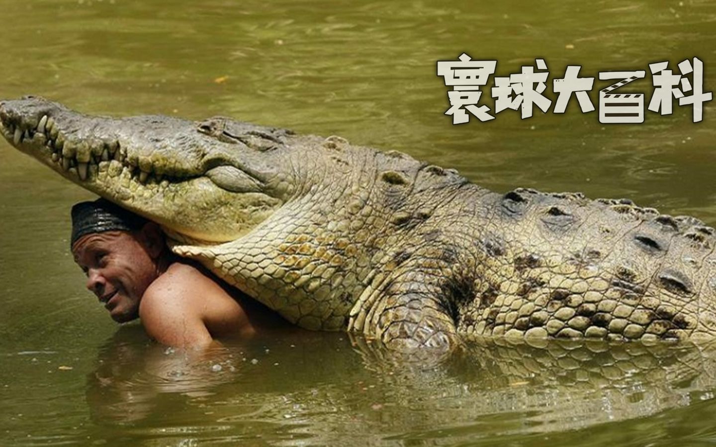 他与鳄鱼相爱了，一起度过了水中激情翻滚的22个年头【寰球大百科365】