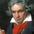 央视古典音乐频道纪录片《探索贝多芬》
