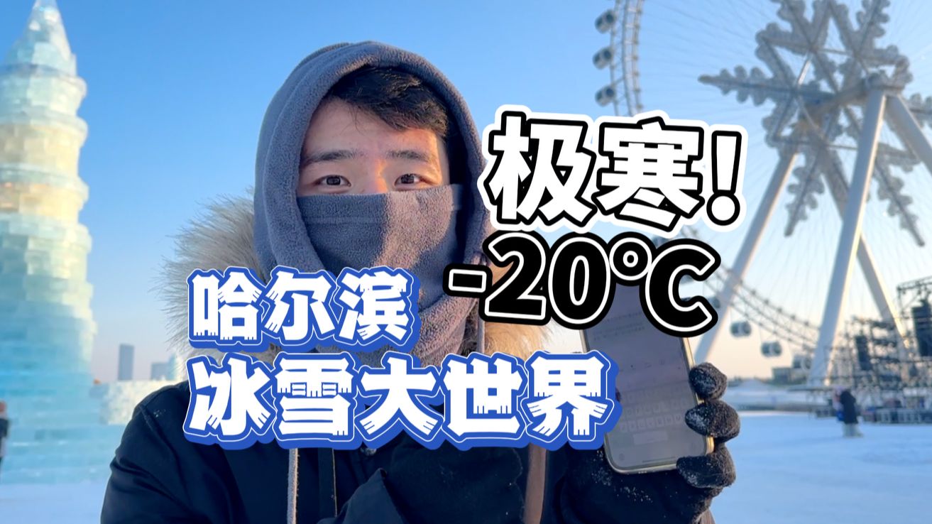 花300块在零下20度户外看冰雕是什么体验?【哈尔滨冰雪大世界】哔哩哔哩bilibili