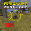 我的世界虚无追债33：遇到超级肉的骨炭，它的血量快赶上末影龙了