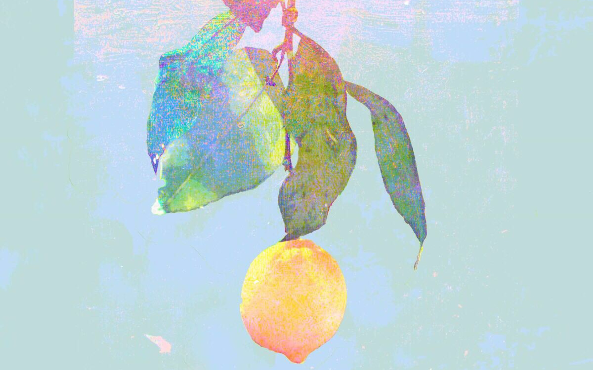 lemon -米津玄师-midi
