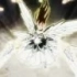 【AMV】 [Fairy_Tail] Will You Save Me