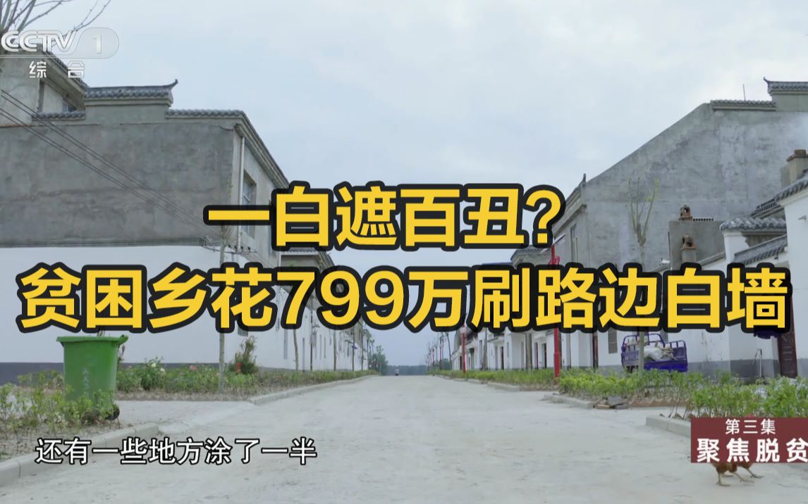 贫困乡为刷白墙竟花799万：为了面子，丢了里子