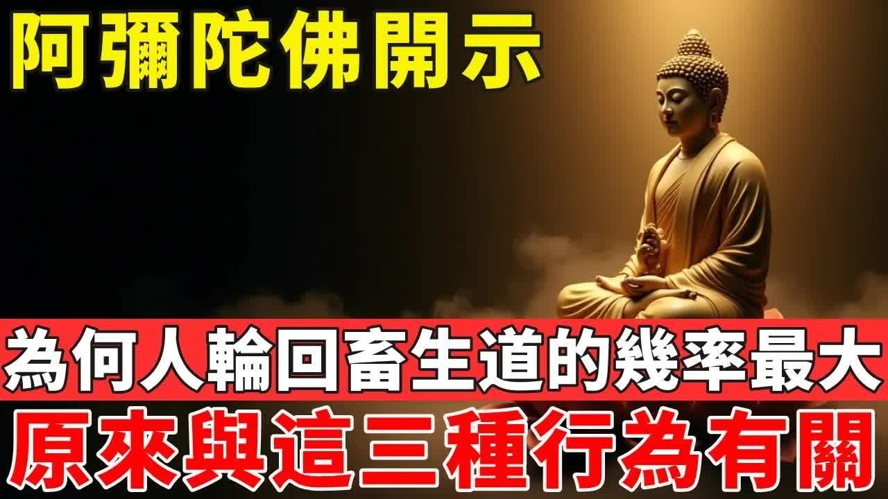 阿彌陀佛開示：為何人輪回畜生道的幾率最大？原來與這三種行為有關#佛光心境#佛陀#佛學#佛教#禪修#佛法智慧#佛教故事#佛教文化