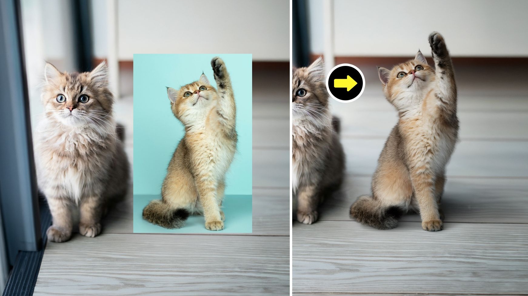 PS近几年都干了些啥？