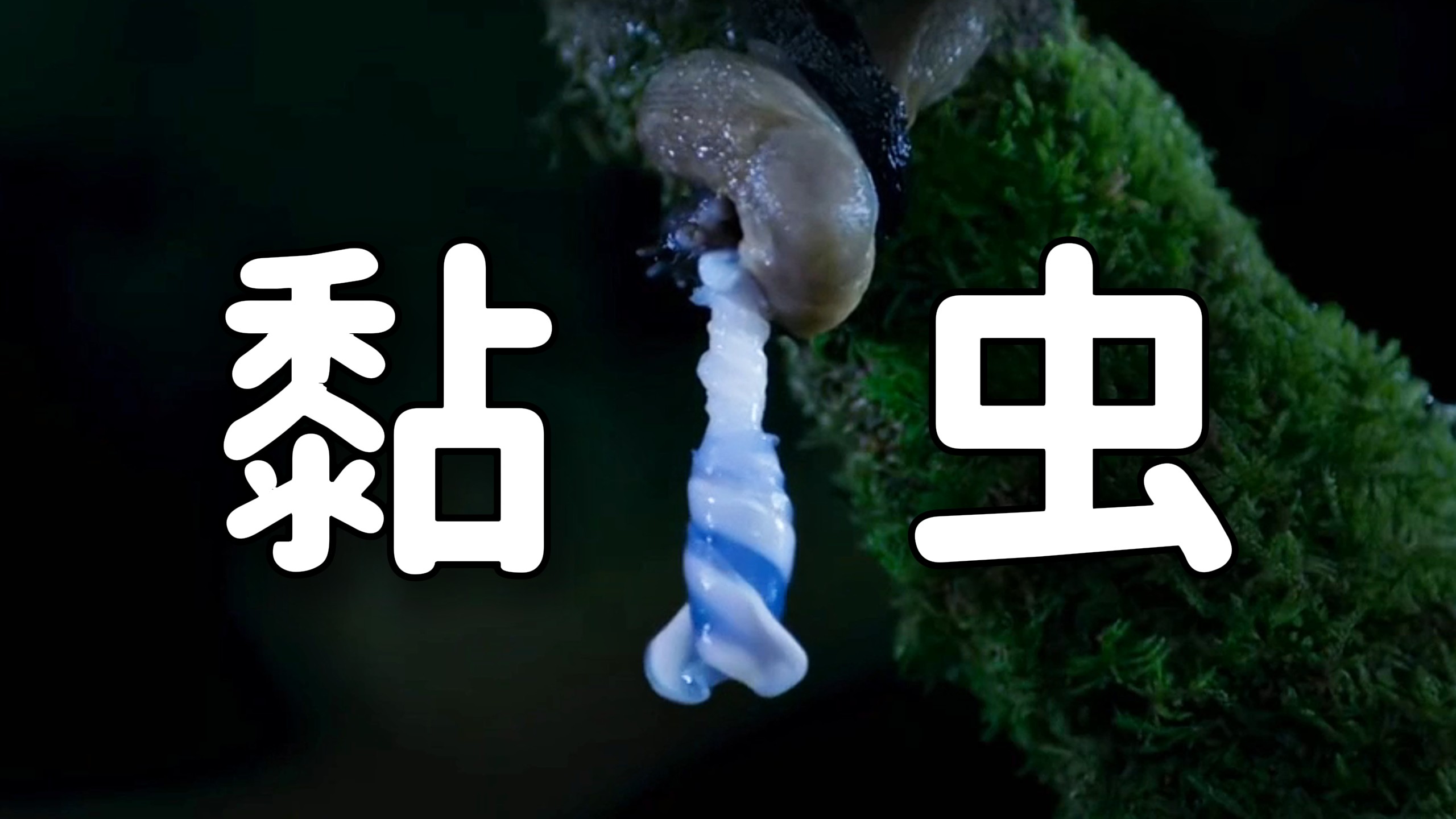 “ 拥有两套生殖系统的变态生物 ”