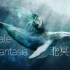 【鲸鱼群像】Whale Fantasia||北冥有鱼