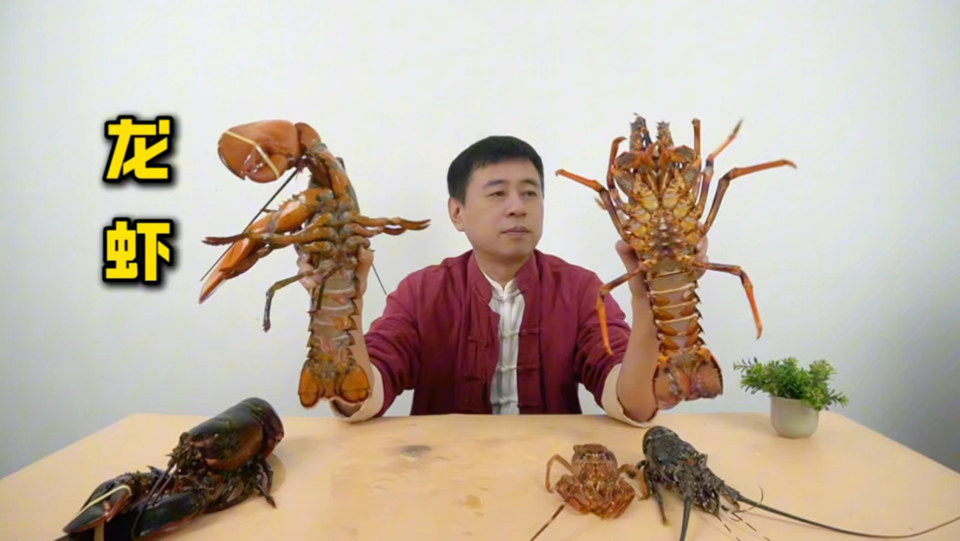 探秘龙虾神秘之处，解锁过年龙虾大餐