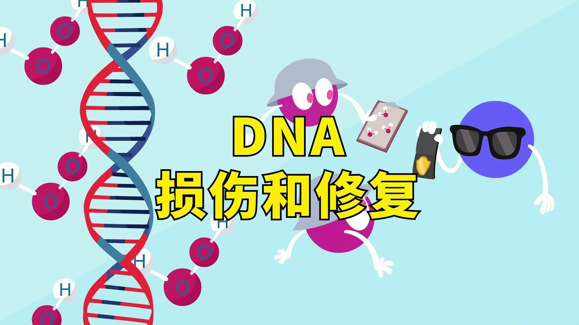 亿万单的修理工程：DNA损伤和修复