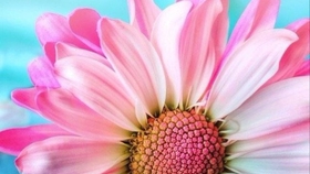 913057df45299476ec990e510e89e8fae7bee571.jpg@280w_158h_1c_100q.jpg