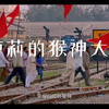 《小萝莉的猴神大叔.片段》   高燃歌曲   一起嗨