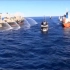 “海洋守护者”与日本捕鲸船的6次史诗级对决！残忍捕鲸视频曝光