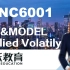 悉尼大学FINC6001【EXCEL应用】BS model & Implied Volatility