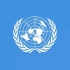 “联合国五大常任理事国”