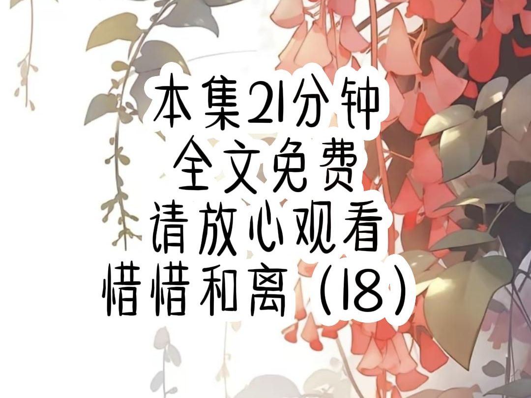 惜惜和离17