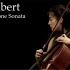 Min Ji kim & 大提琴 - 舒伯特-阿佩乔尼奏鸣曲·帕格尼尼变奏曲-皮亚蒂戈尔斯基 Schubert-Arpe