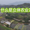 南方低山丘陵区的立体农业