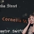 【Taylor Swift】Cornelia Street 不插电版MV|