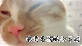 91d570a61ca426d77a419bb359e83a19d046eb36.jpg@280w_158h_1c_100q.jpg