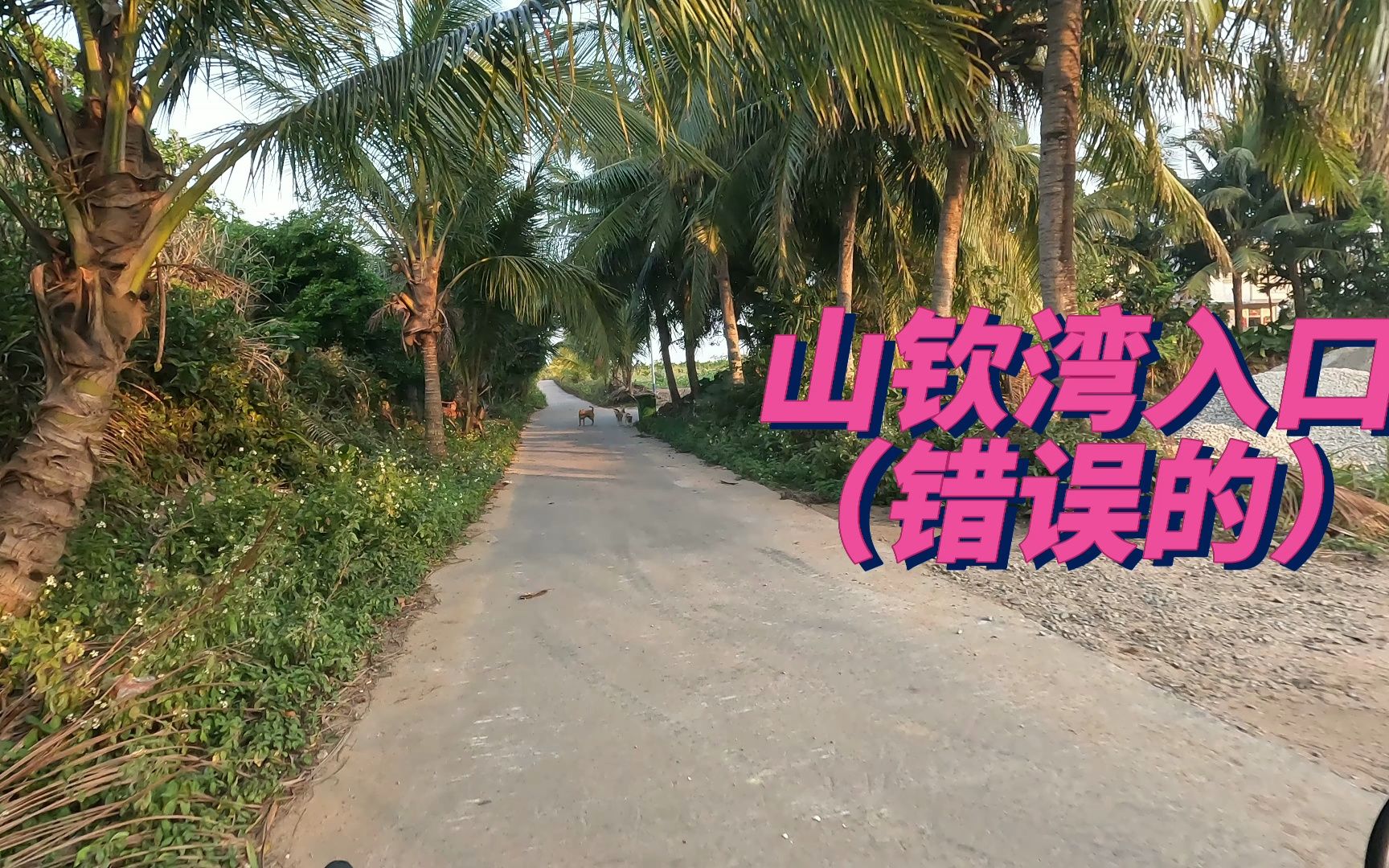 海南乱走 ｜ 山钦湾燕子洞 错误入口