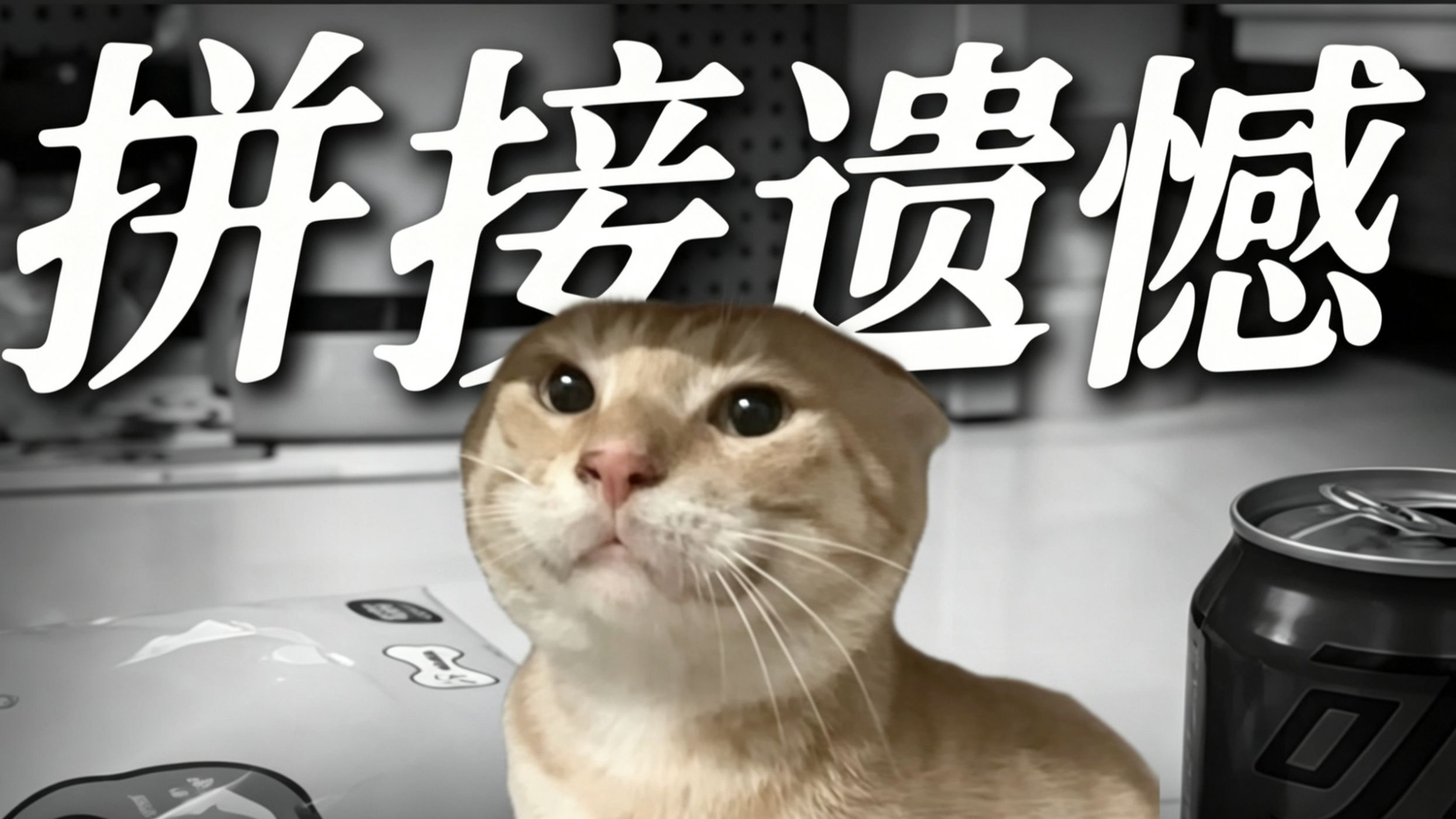 基米我的遗憾又有谁能拼接呢?"【反乌托邦&拼接遗憾】