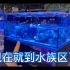 最新红海滴定泵ReefDose4开箱视频 水族 海水缸【溪流鱼】